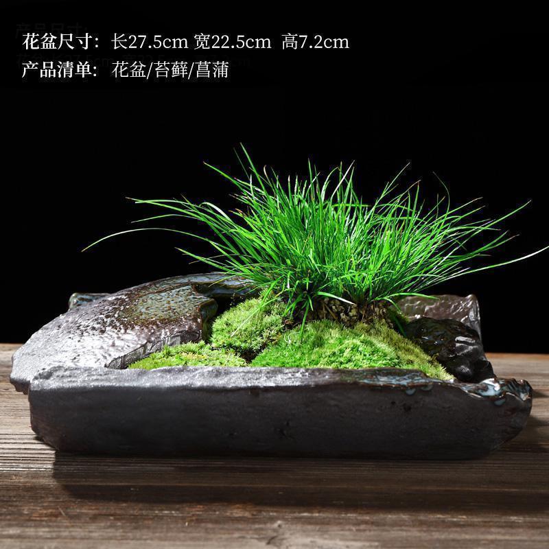 美帮汇禅创意陶瓷花盆简约个性菖蒲袖珍椰子植用室内组合盆栽装饰品高清大图