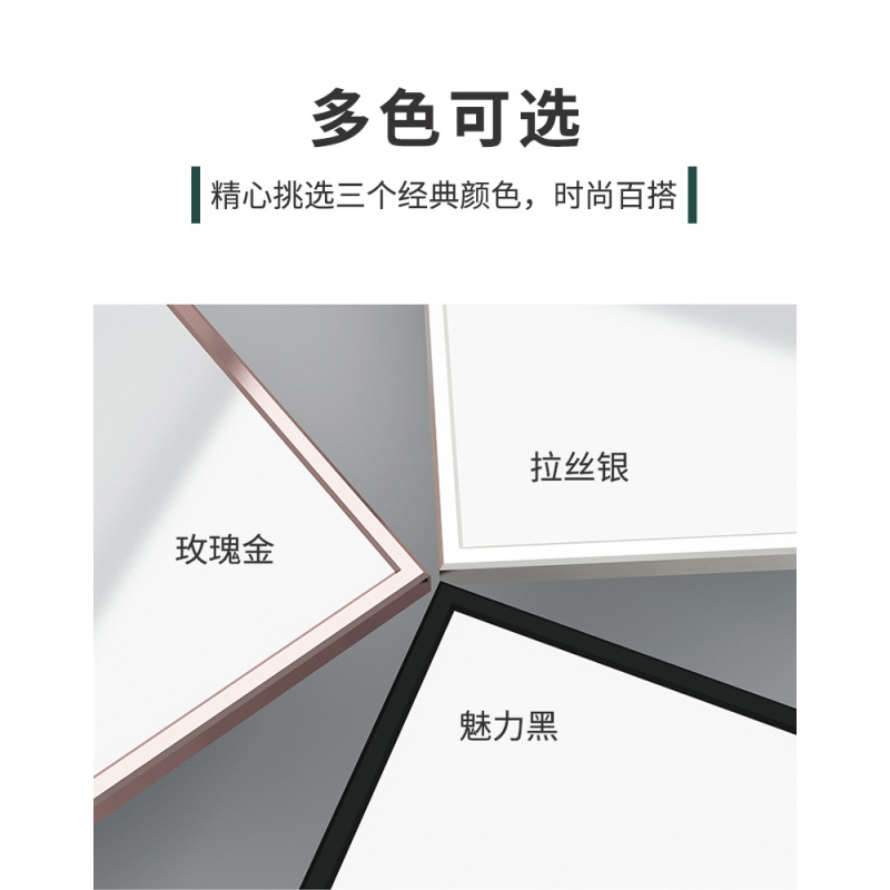浴室镜家用贴墙穿衣镜全身卫生间镜子房间落地镜等身镜壁挂试衣镜