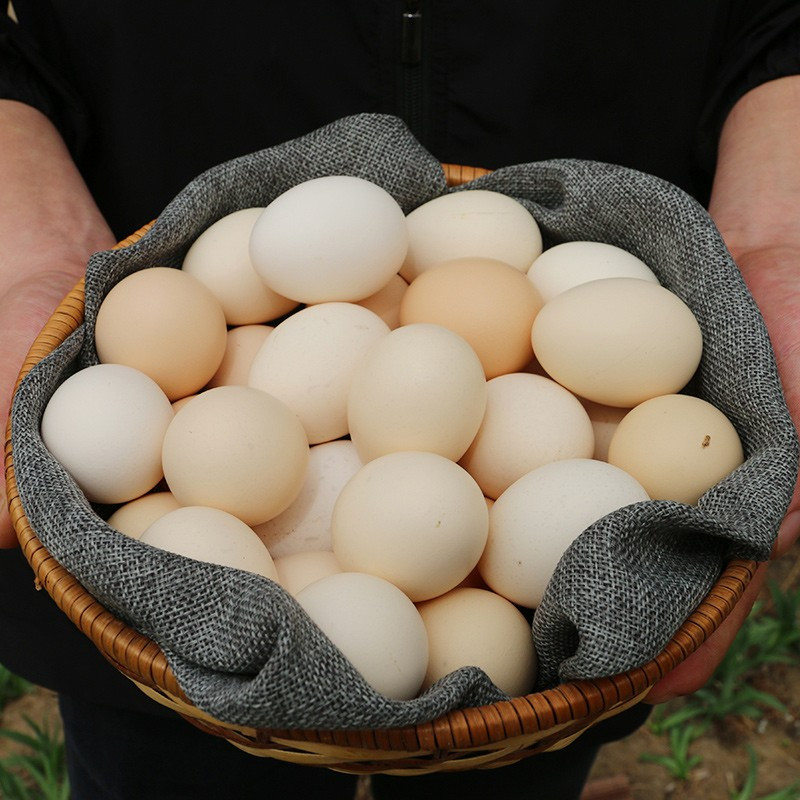 土鸡蛋柴鸡蛋笨鸡蛋月子蛋正宗农家土鸡蛋40枚装农家散养笨鸡蛋柴鸡蛋