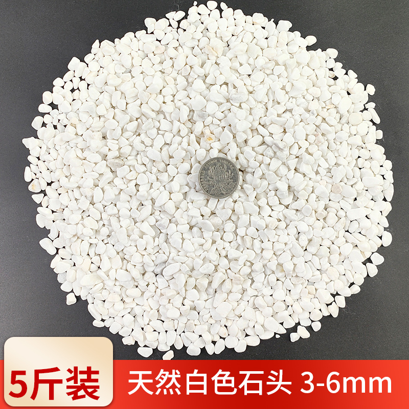 彩石多肉盆栽铺面石子鹅卵石鱼缸造景底砂种花装饰五彩小石头