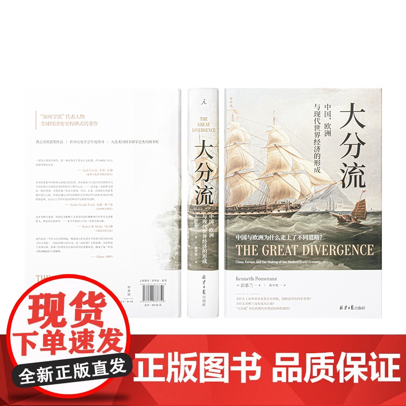 大分流 中国 欧洲与现代世界经济的形成 费正清奖得主 经济史大家彭慕兰的经典力作 理想国 正版书籍 彭慕兰著高清大图