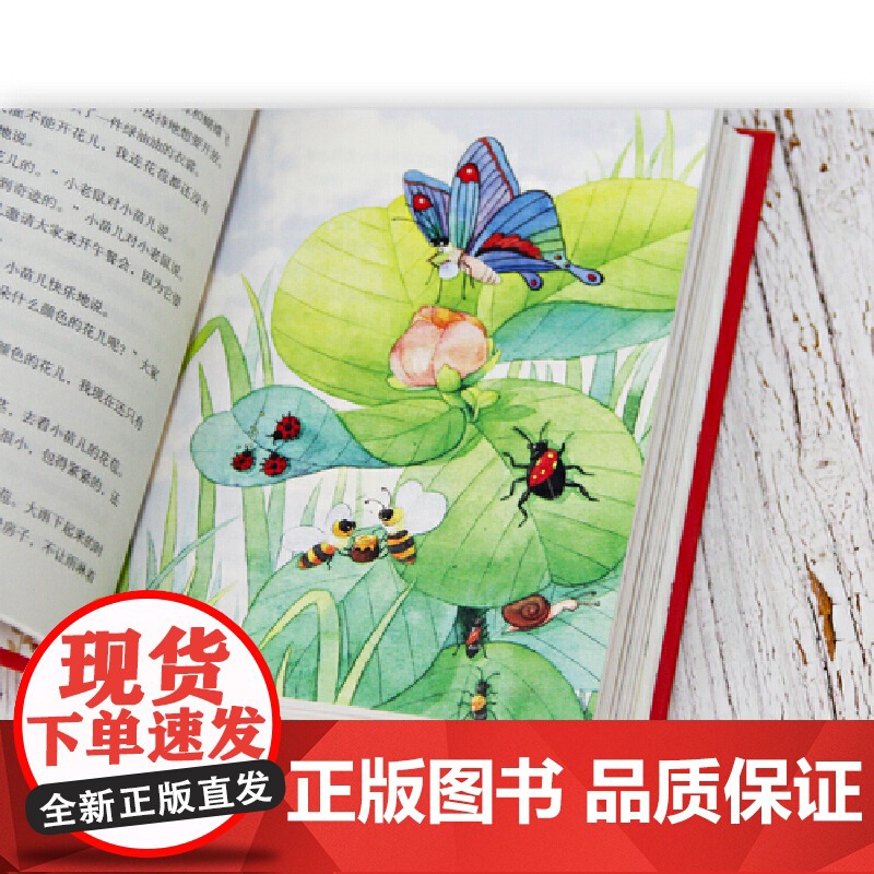 红鞋子(全新精装典藏版)高清大图