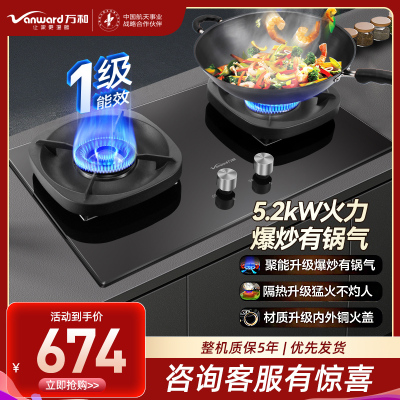 万和(Vanward) 天然气燃气灶 JZT-G6L50