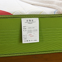 A家家具 床垫1.5米1.8m弹簧海绵床垫简约现代椰棕垫软硬两用卧室家具其他22cm CD201