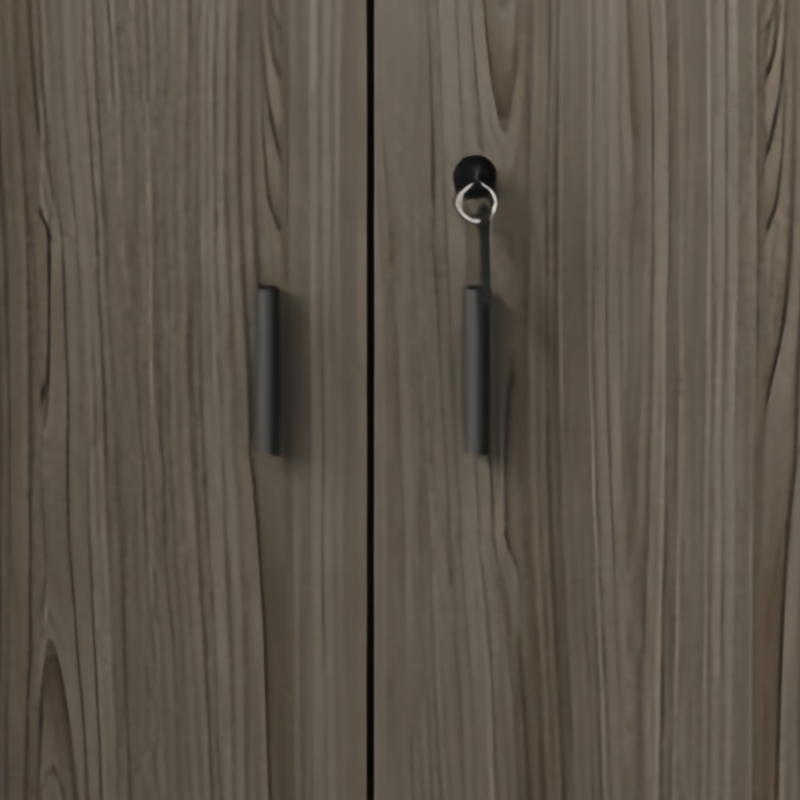 亿洛莱 矮柜 两门 台高清大图