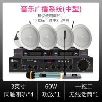 JBL CONTROL 12C/T 吸顶喇叭套装家用蓝牙嵌入式音箱音响天花广播 音乐广播系统(中型)