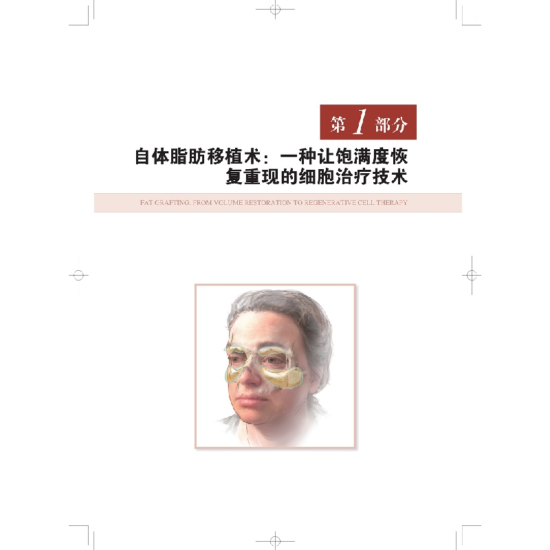 醉染图书面中部年轻化9787547850411高清大图