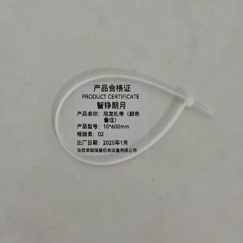 智铮朗月 尼龙扎带 10*600mm 根高清大图