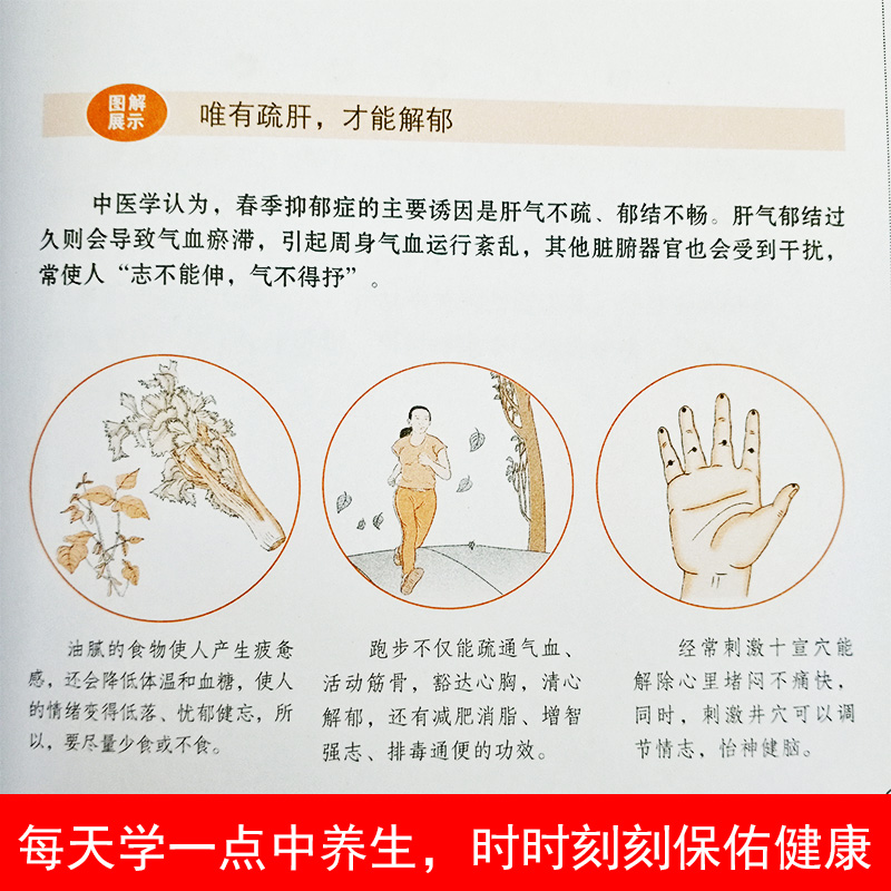 [醉染正版]图解养肝速查手册黄帝内经四季养生法中医养生书籍大全中医正版按摩书 经络 推拿零基础学会经络穴位按摩大全穴位书高清大图