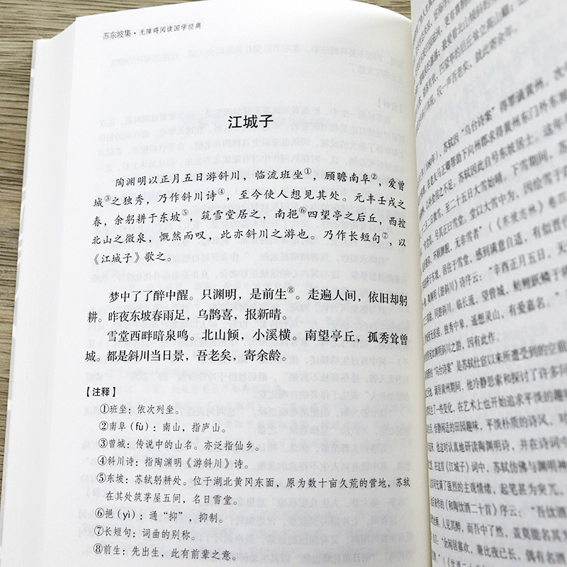 [正版] 苏东坡集 中国国学文人名人传记名人传苏轼苏东坡词传古代人物传记诗词人生书籍高清大图