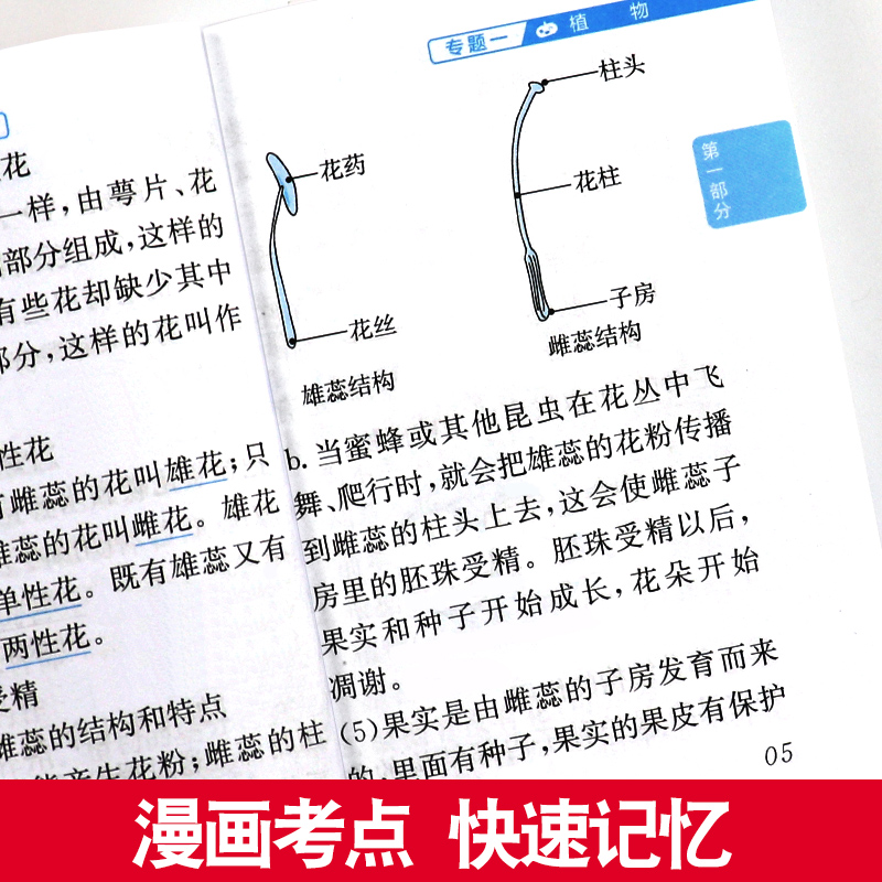 [数学]公式与定律 小学通用 [正版]新版小红书小学全套语文数学英语科学基础知识大全手册数学公式定律英语单词精华口袋书瓜高清大图