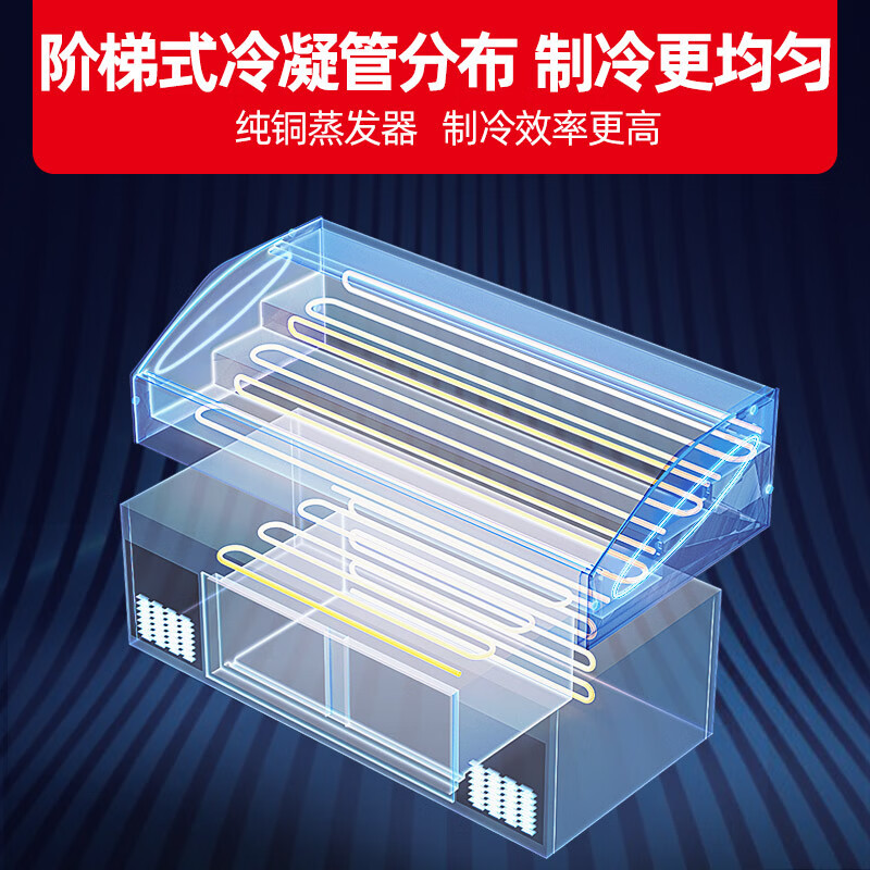 星星(XINGX)BSCD-2000P-3T冰柜2米三阶梯冰鲜台商用冷藏展示柜点菜柜冷藏保鲜冷冻大容量 双温三阶