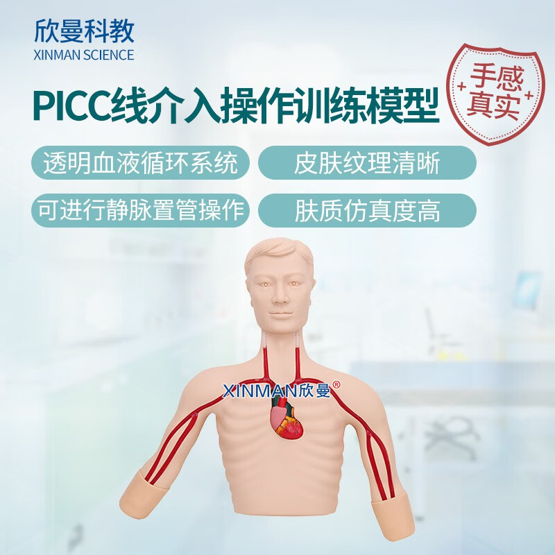 欣曼科教 PICC线介入操作训练模型 深静脉穿刺置管模型XM-L68A