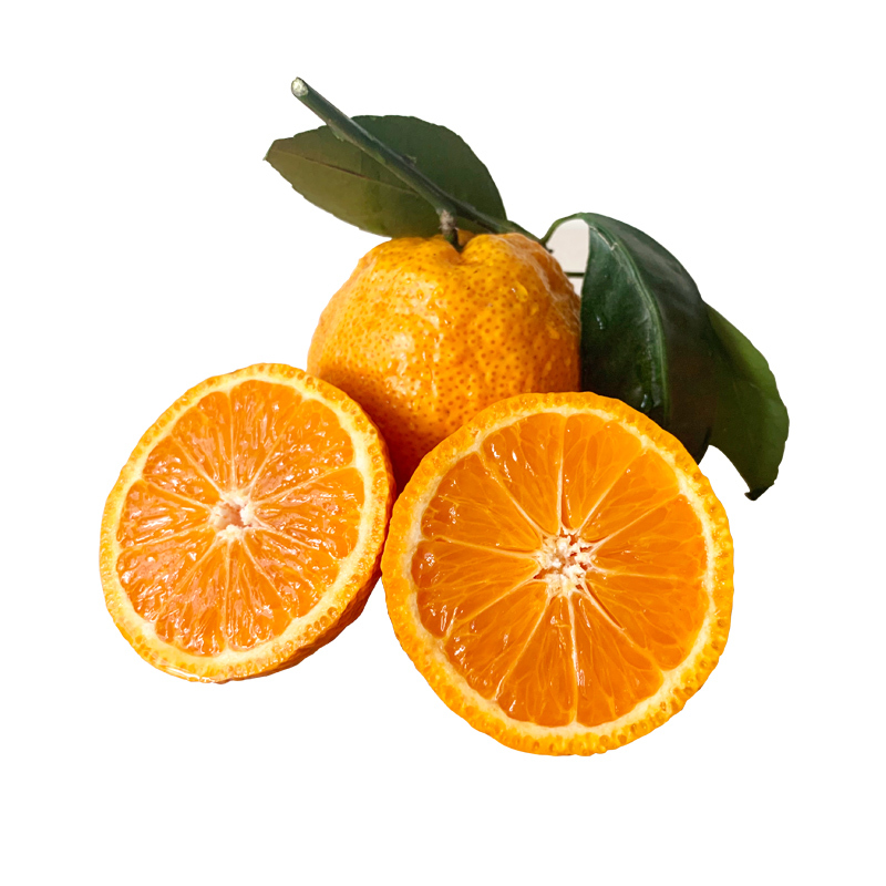 尧之谷柑橘类 尧之谷石棉黄果柑新鲜水果精选中果现摘现发10斤装