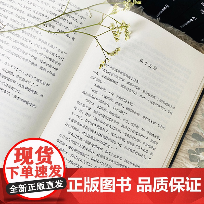 正版 一俄尺的理想地陀思妥耶夫斯基罪与罚三部曲全4册原版直译无删减 罪与罚 白痴 卡拉马佐夫兄弟上下外国小说高清大图
