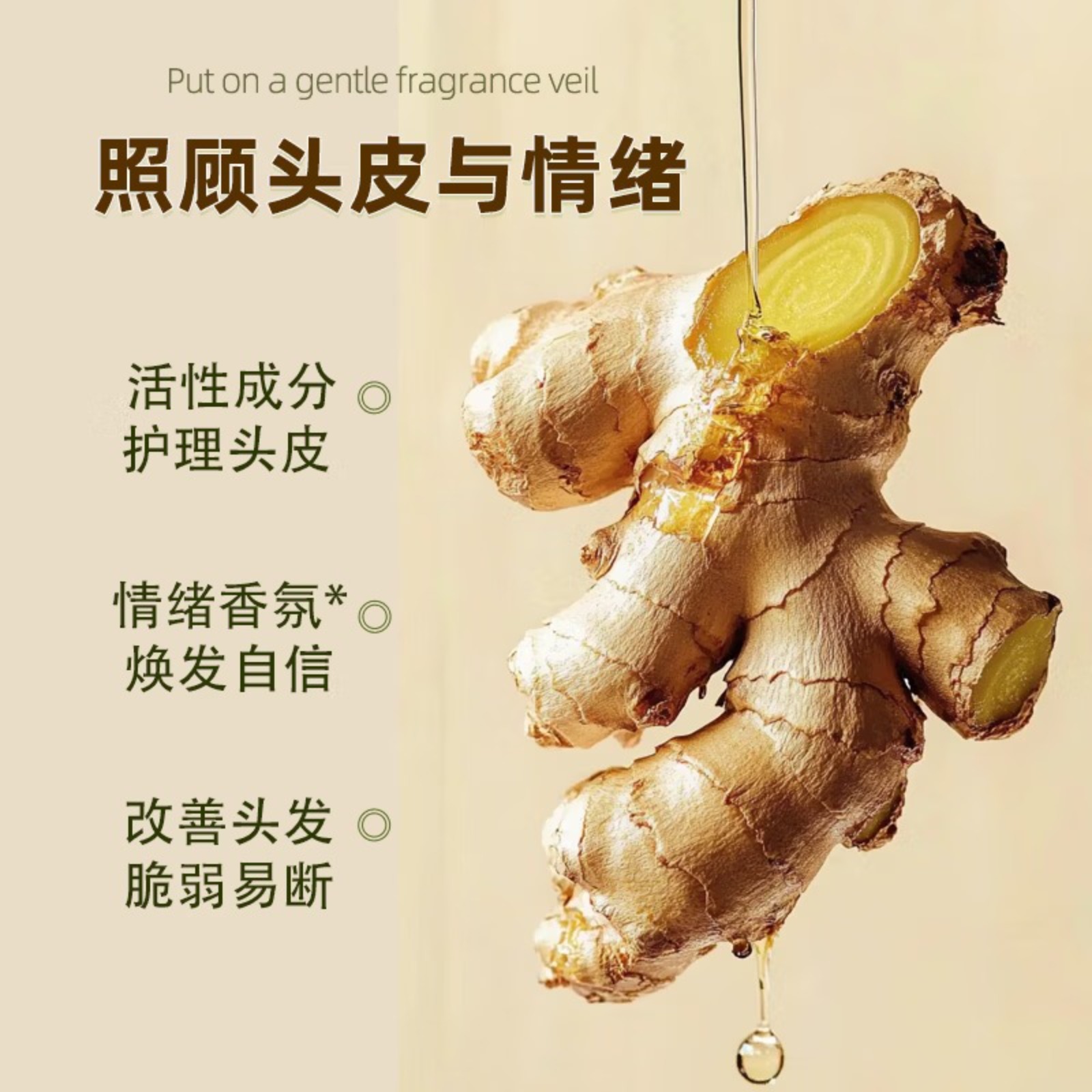 10129006940028高清大图