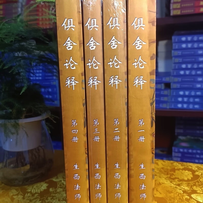 珍品《俱舍论释辅导》1-4 册完整版 sxfx a4厚版1-106课