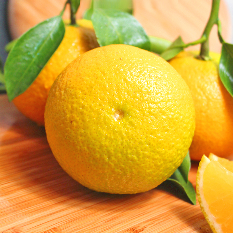 [一贤生鲜]福建新鲜甜桔柚 9斤装 中果 150-250g 桔柚 福建甜葡萄橘