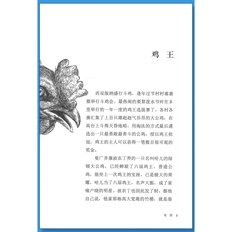 象母怨 [正版]鸟奴沈石溪小学四年级五年级全集全套书浙江少年儿童出版社非注音版完整版动物小说大王品藏书系小学生课外阅读适