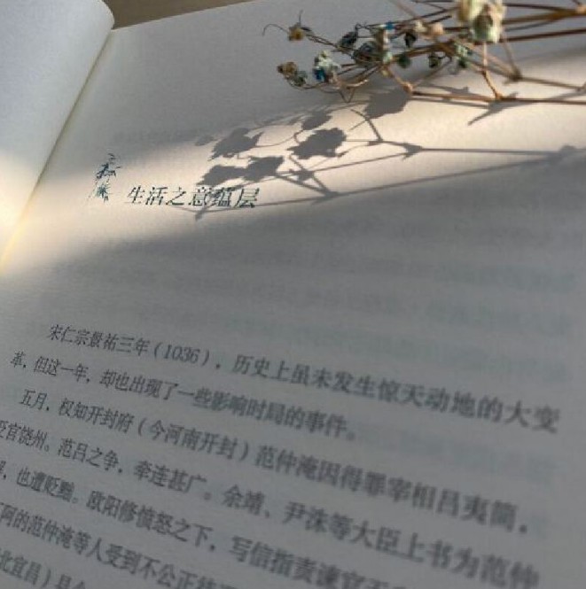 [醉染正版]正版 苏东坡传 一蓑烟雨任刘小川继品中国文人之后再撰中国文人传记讲述一代文豪苏东坡的快意人生儿童文学书时高清大图