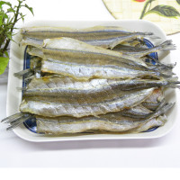 马步鱼 马步鱼干 棒棒鱼 针鱼片 烧烤鱼片 海鲜干货 500G 11-13cm(70-80条)