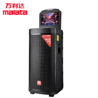 万利达(malata) Z215P 音箱 户外音响 广场舞音响 专业舞台功放音响 双15英寸低音 大功率双话筒蓝牙音响