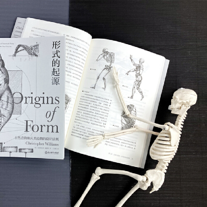 [正版]形式的起源:包括机械、结构、材料、地质学、生物学、人类学、古生物学、形态学等领域高清大图