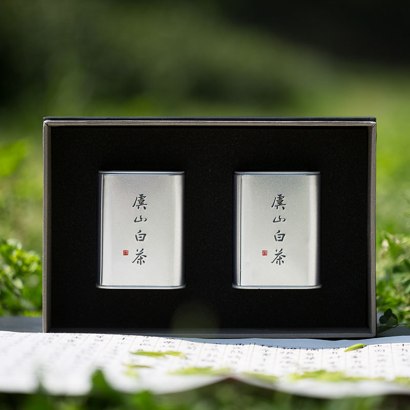 2026(新茶)虞山绿茶 白茶雨前 50克礼盒(25克*2罐) 新老包装随机发货高清大图