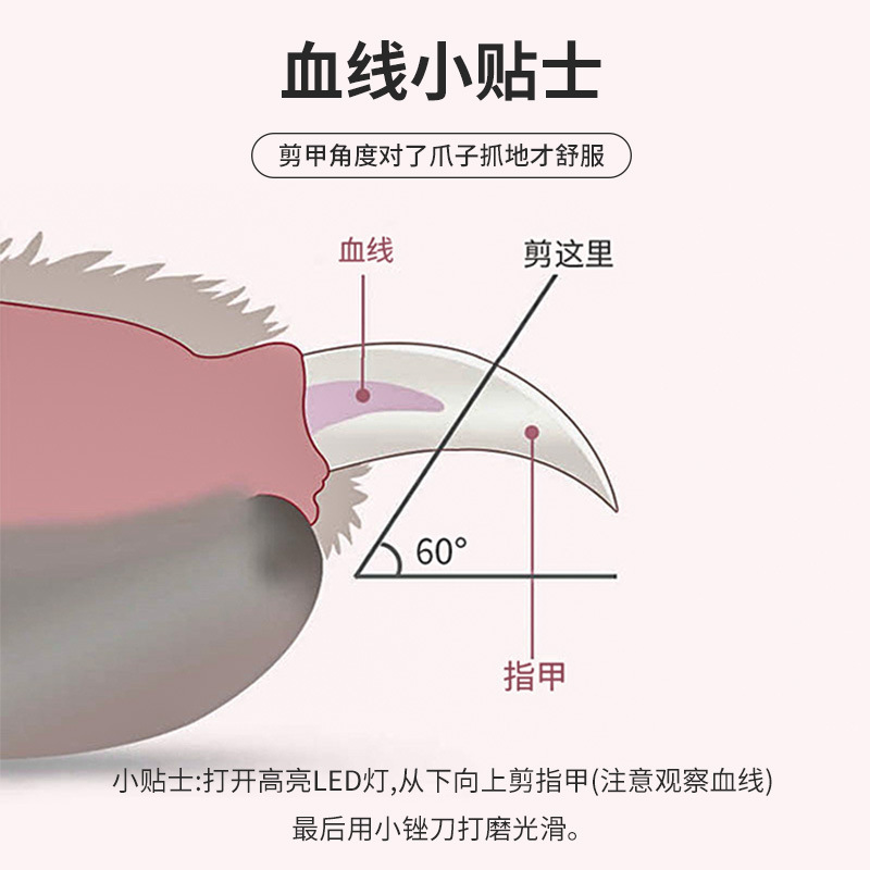 雪貂留香 LED宠物指甲剪 防血位修指甲 狗狗猫咪指甲钳 宠物专用指甲刀 新手