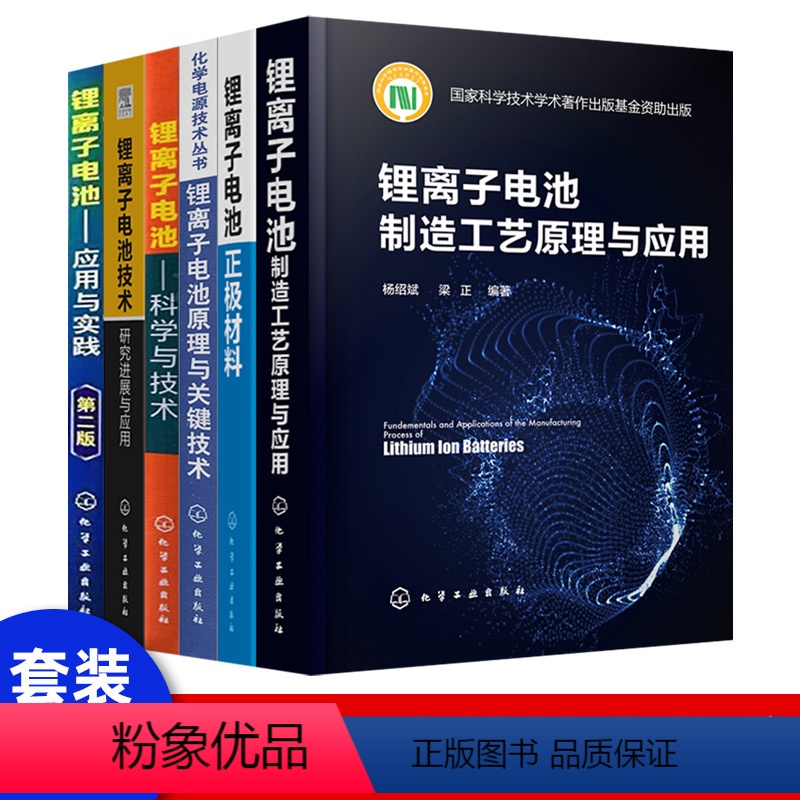 【正版】锂离子电池原理关键技术制造工艺原理应用科学技术化学工业技术研究进展应用技术丛书化学电源技术丛书应用实践原理性能