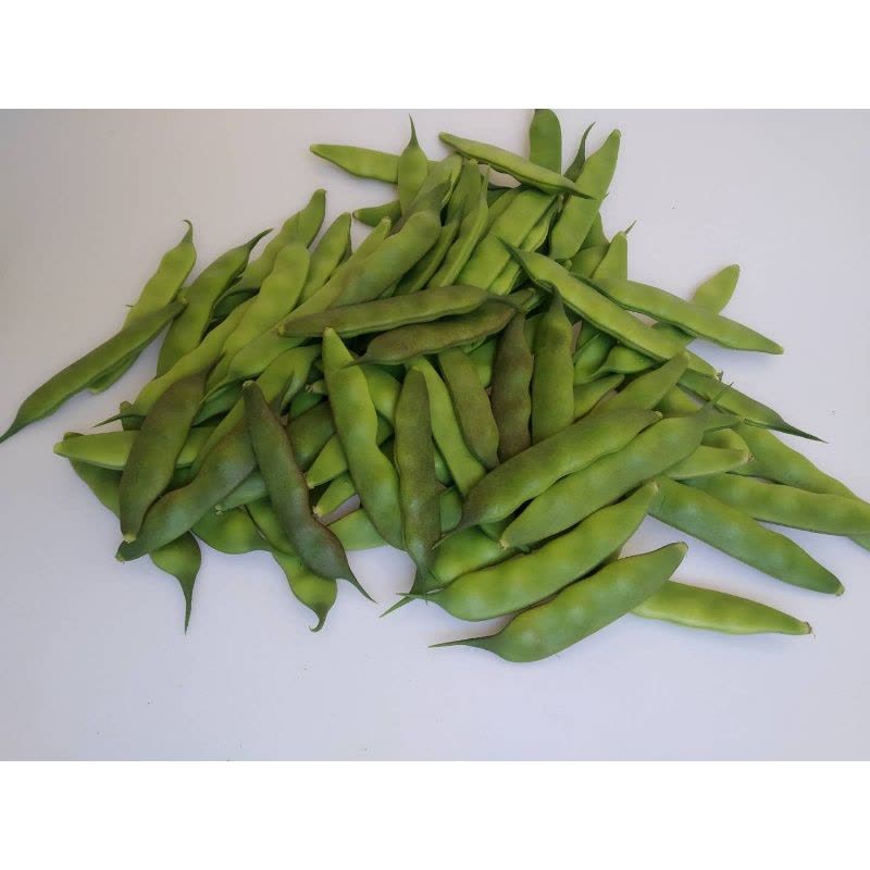油豆角5公斤 油豆角正宗东北油豆角新鲜蔬菜九月青5斤东北豆角【价格图片品牌
