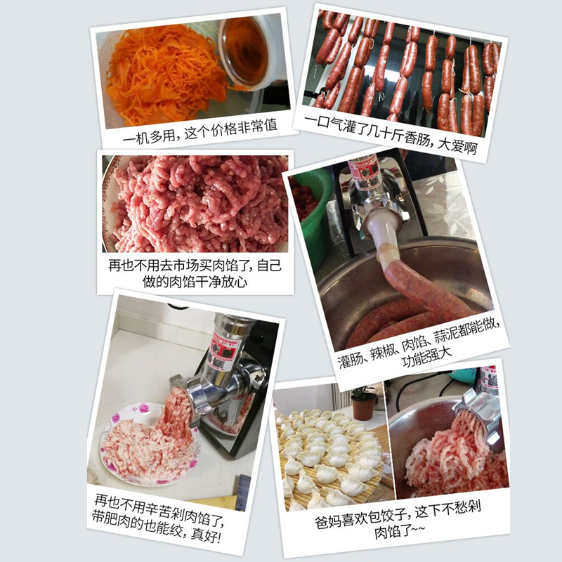 金正(NINTAUS)绞肉机 不锈钢家用电动碎肉机 多功能料理机搅馅 灌肠机料理机研磨机 JZM-JR351玫瑰金