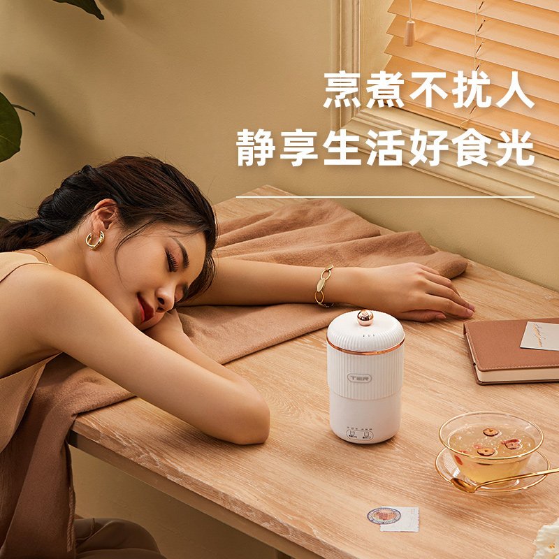 泰瑞达(TER)电炖杯养生杯小型便携烧水杯办公室神器煮粥热牛奶加热杯迷你