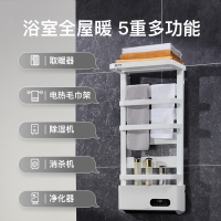 先锋智能电热暖风机家用卫生间暖风机恒温烘干杀菌暖霸电暖器