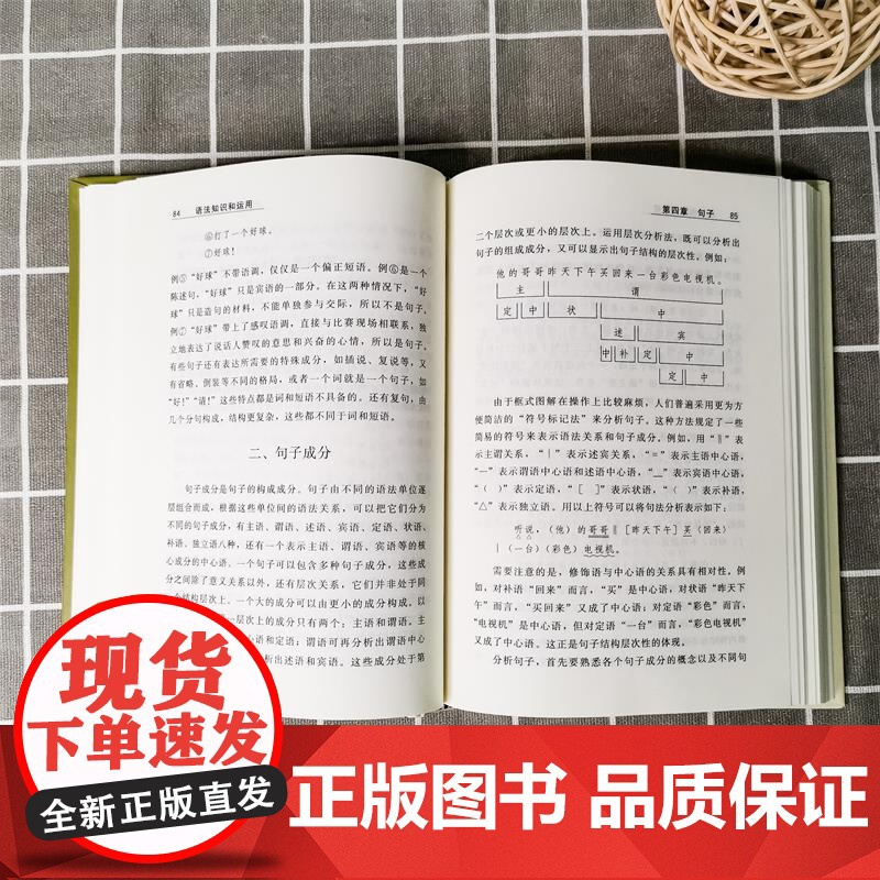 语法知识和运用 商务印书馆国际有限公司 汉语基础知识 语法运用 写作手册对汉语语法中的基础知识做了深入浅出的阐释和说明高清大图