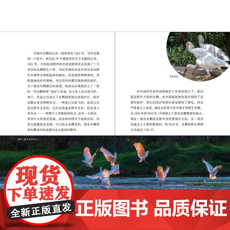 童话里走出的渡渡鸟 多样的生命世界·悦读自然少年儿童出版社高清大图