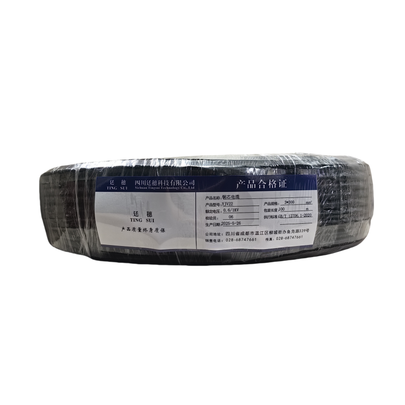 廷穗(TINGSUI)铜芯电缆YJV22-0.6/1KV-3*300 米