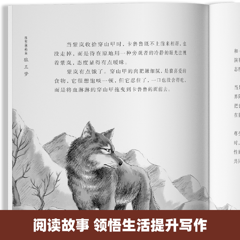[全套13册] 狼王梦+动物小说 [正版]抖音同款狼王梦沈石溪全套5册 漫画版画本动物小说全集大王三年级四五六年级下册阅