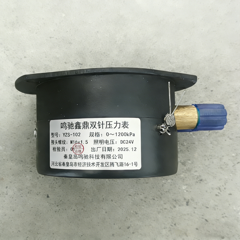 鸣驰鑫鼎 压力表 YZS-102 个高清大图