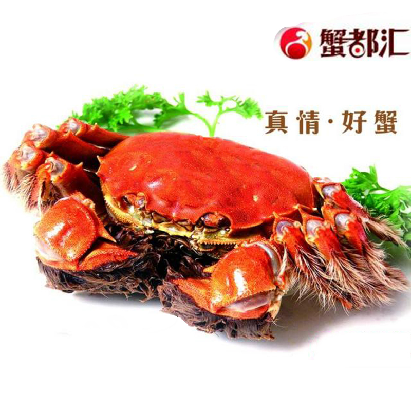 蟹都汇大闸蟹实物券2000型