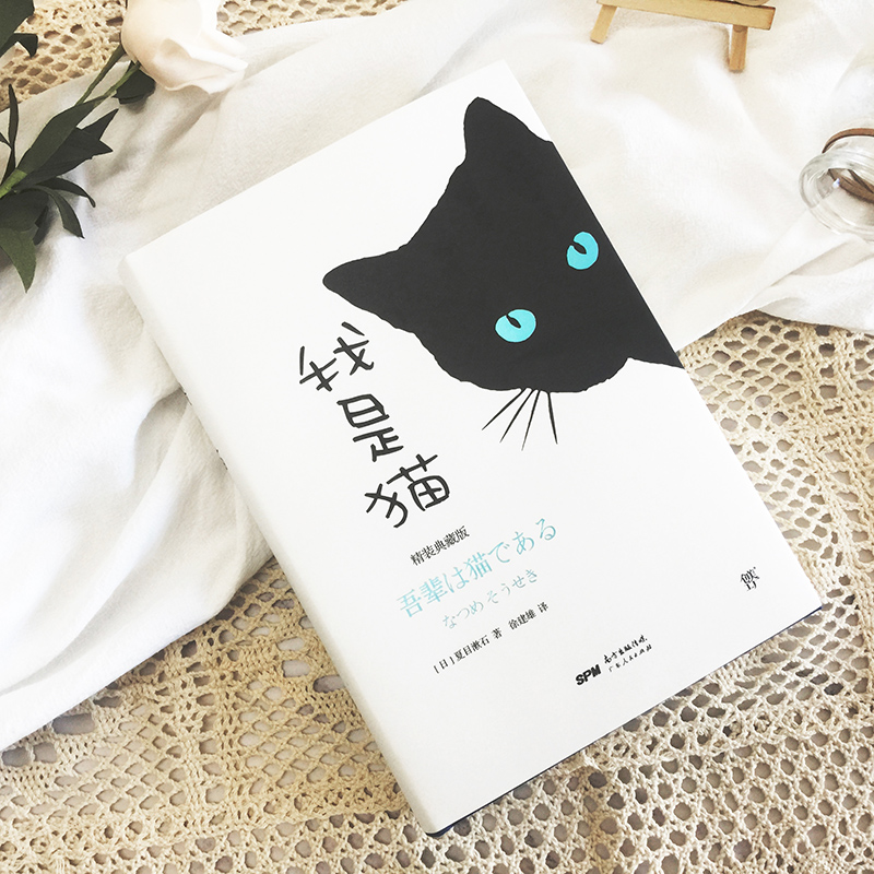 醉染图书我是猫9787218143088高清大图