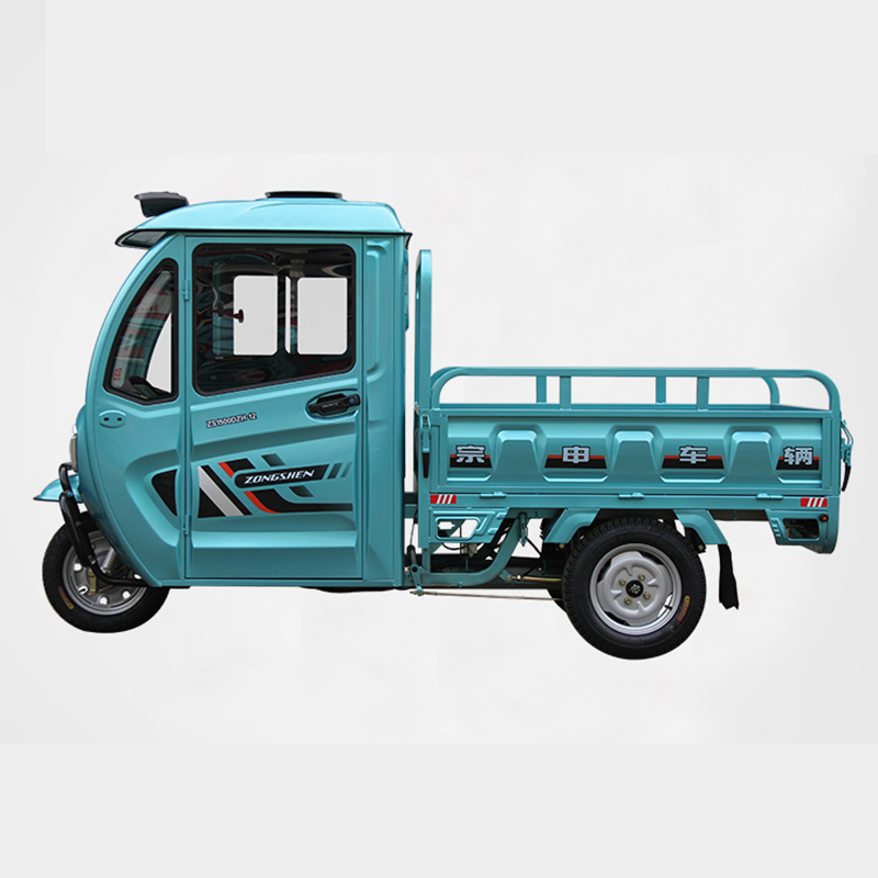 带棚电动三轮车全封闭代步车电瓶车