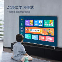 长虹65英寸爱学电视 课程教材同步 免费学习 远场语音FURY 120Hz MEMC 2+32GB教育4K平板液晶电视机