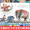 中国经典故事绘本 全套20册 [正版]中国经典故事全套20册 孔融让梨绘本故事书宝宝童话睡前读物 一年级阅读课外书带拼音