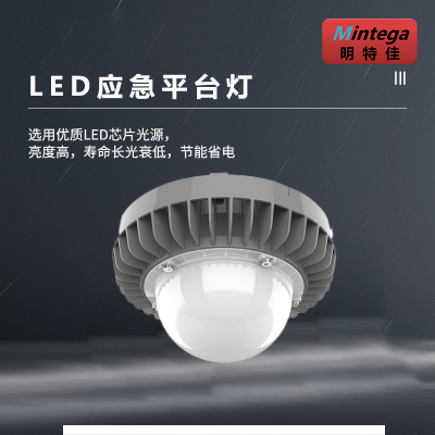 明特佳-Mintega FPD8504Y-L100 LED应急平台灯 100W 灰色 (单位:套)