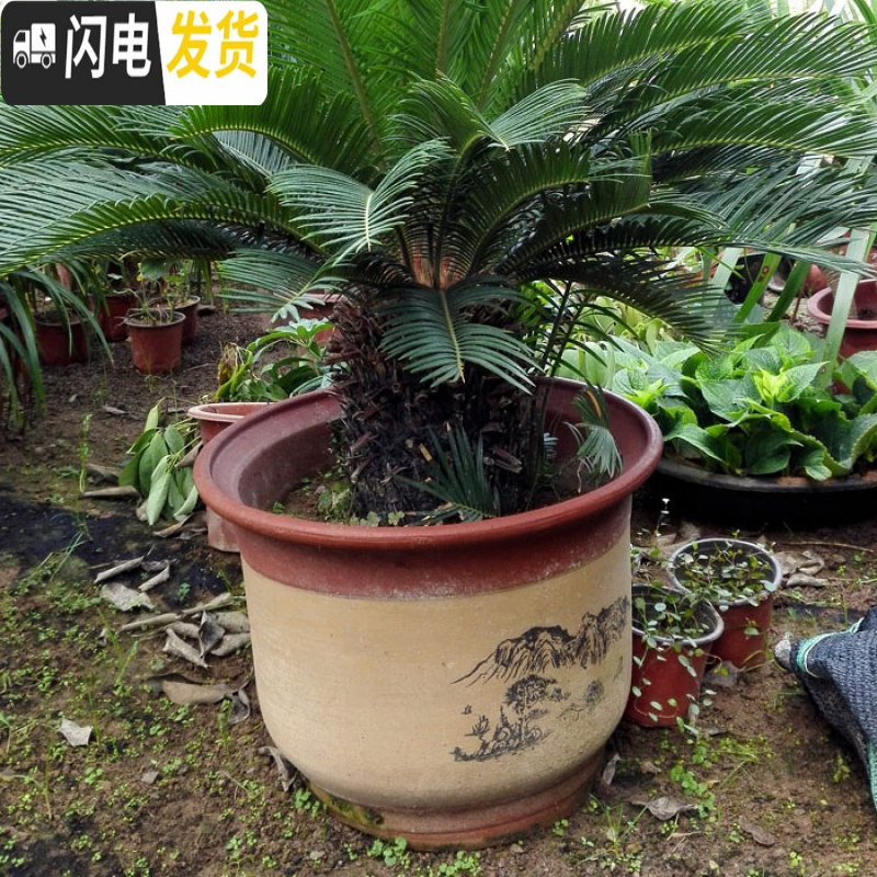 三维工匠花盆紫砂陶瓷花盆 兰花盆特大号红陶大码陶瓷盆 口径22+25+28三个一套 大花盆容器