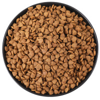 顽皮猫粮幼猫全价粮2kg 营养均衡