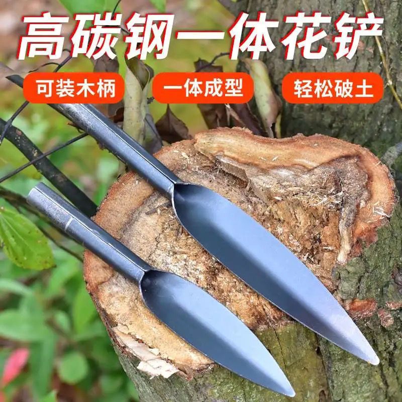 小铲子户外挖野菜铲家用阳台种花工具园艺多肉松土起根器赶海铁锹 柳叶小直尖铲