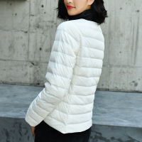 北极绒轻薄羽绒服女短款2019冬季新款韩版大码轻便内胆修身圆领外套60CY1901