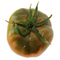 蔬果哆 新鲜蔬菜 辽宁特产 丹东铁皮西红柿 水果西红柿 2.5kg